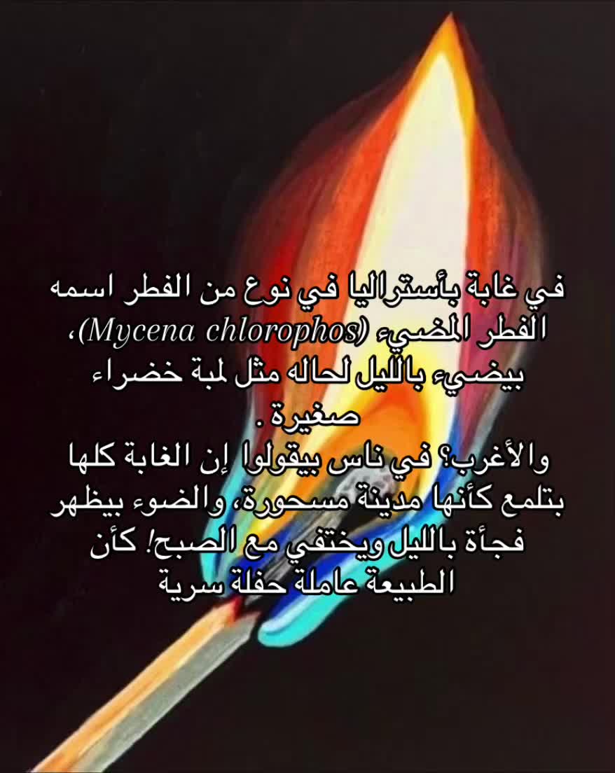 @t.aosi.0