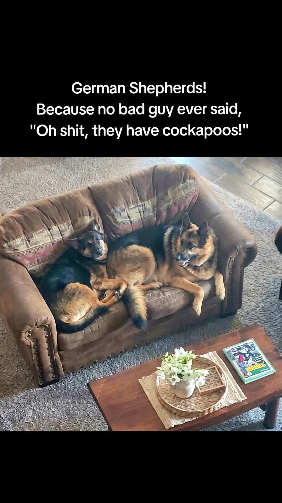@D&D❌️ and Duke
