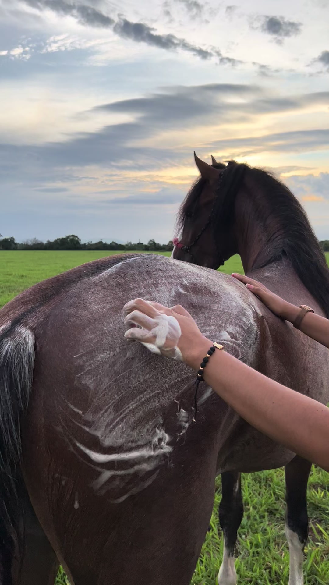 @Aleja🐴