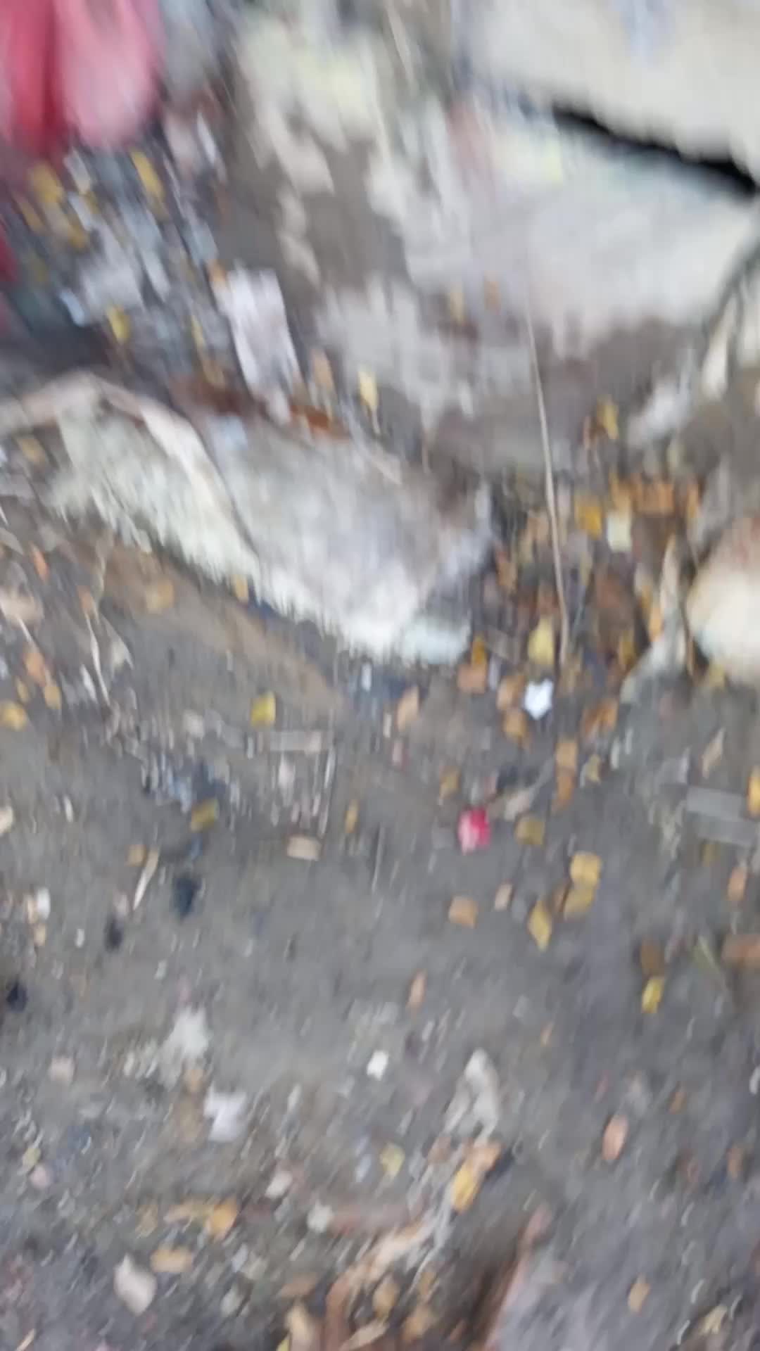 @চিংগাম 🕴️😁