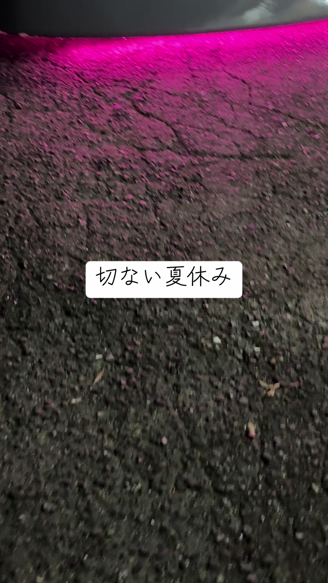 @軽トラ野郎