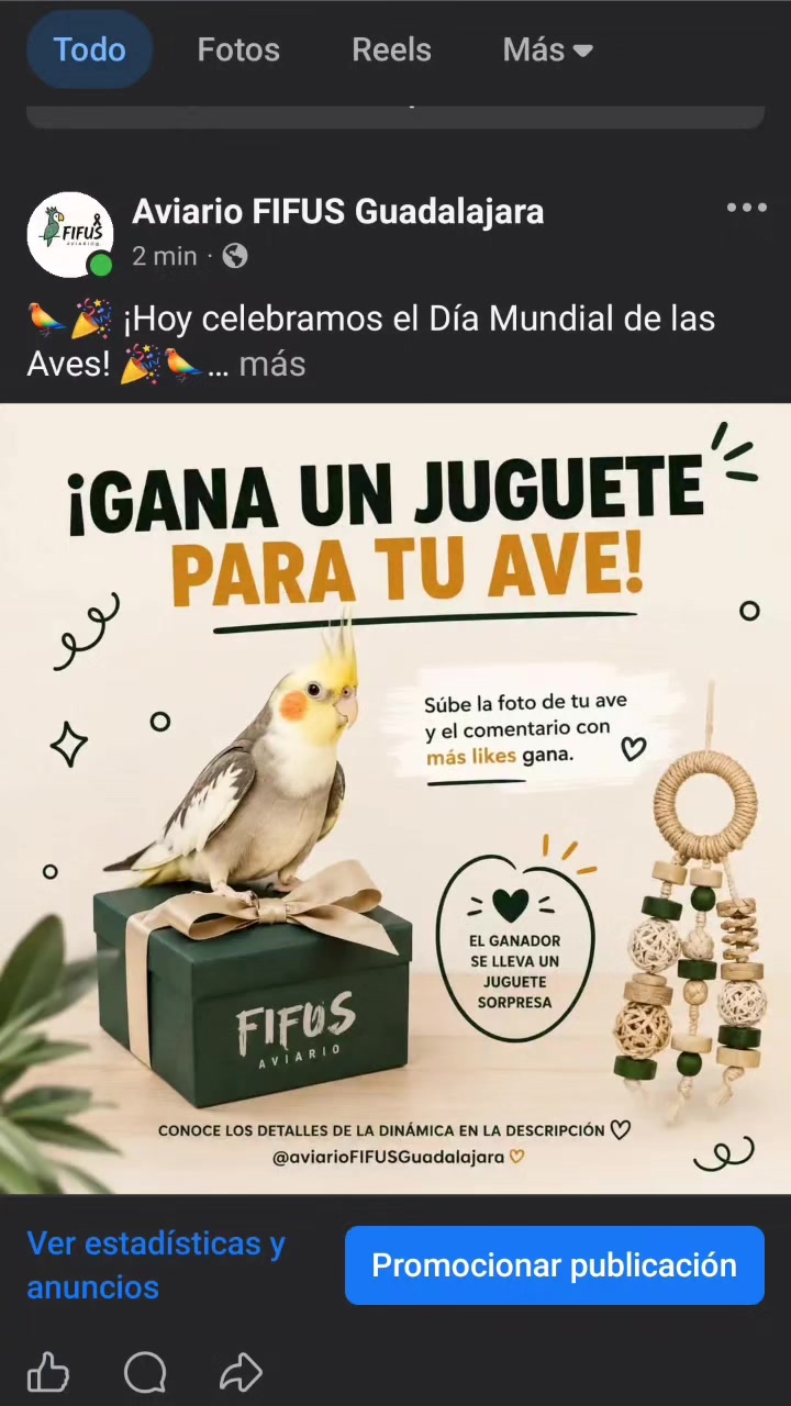 @Aviario FIFUS Guadalajara