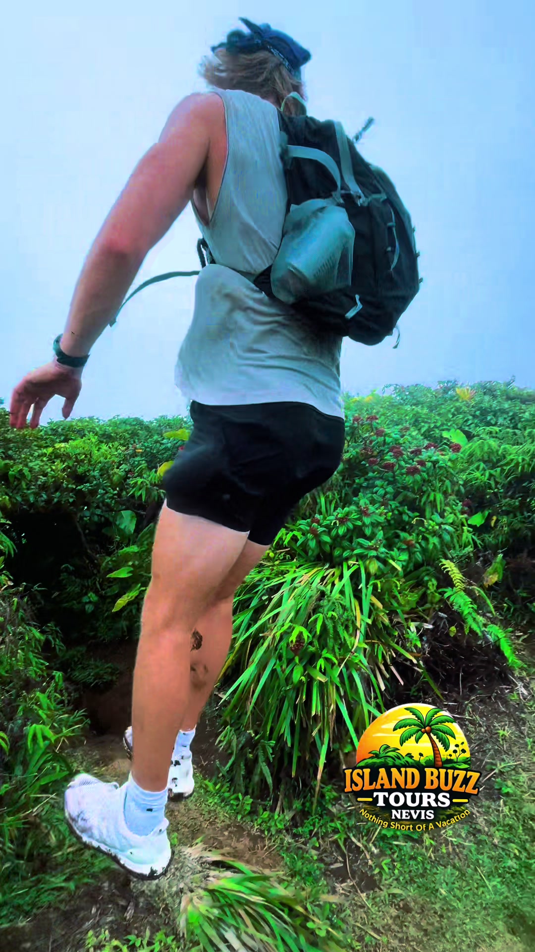 @Island Buzz Tours Nevis