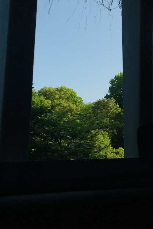 @kani