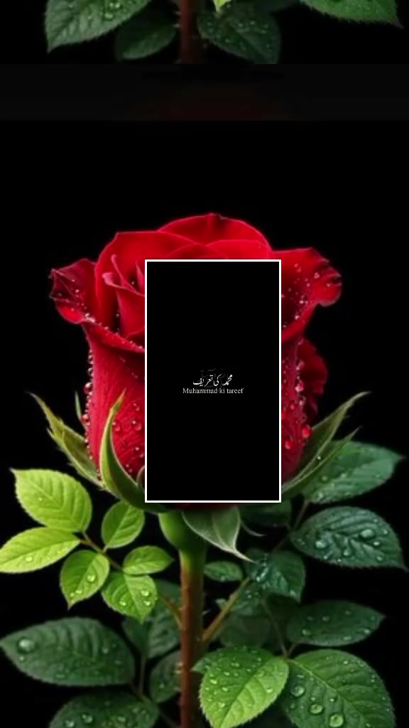 @Muhammad Farooq