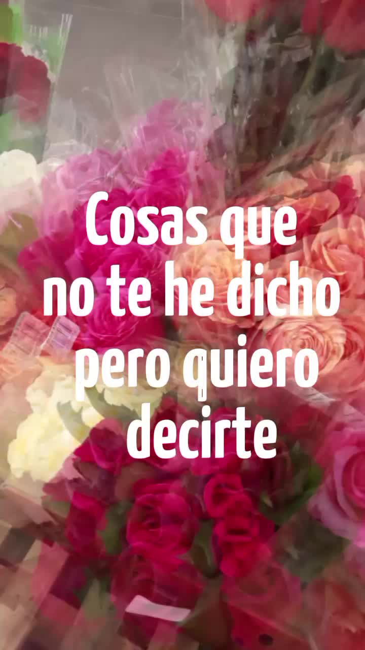 @elva