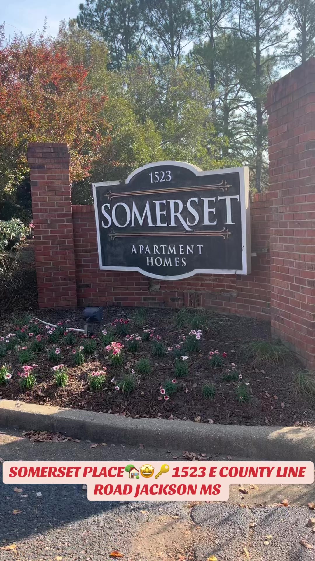 @Somerset Place Apts