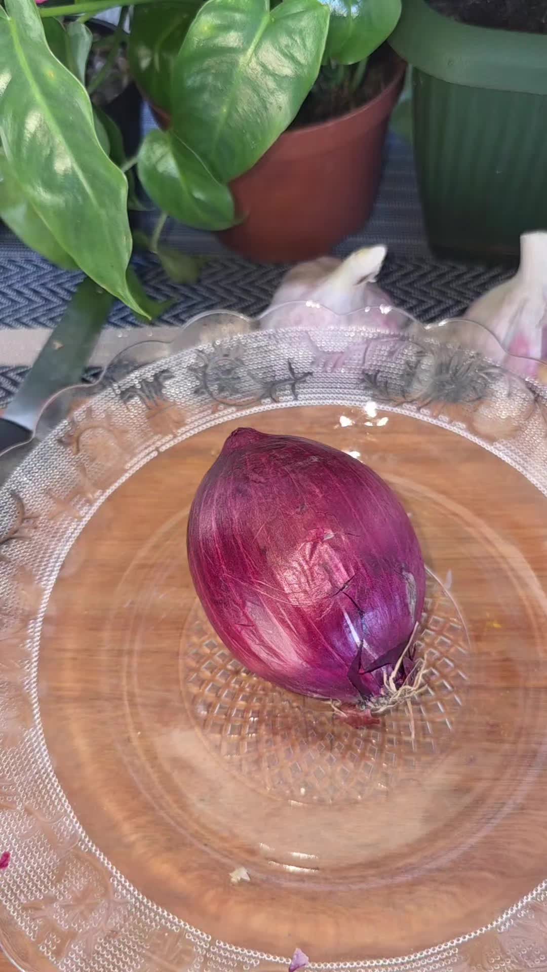 @Dicas e Receitas Naturais