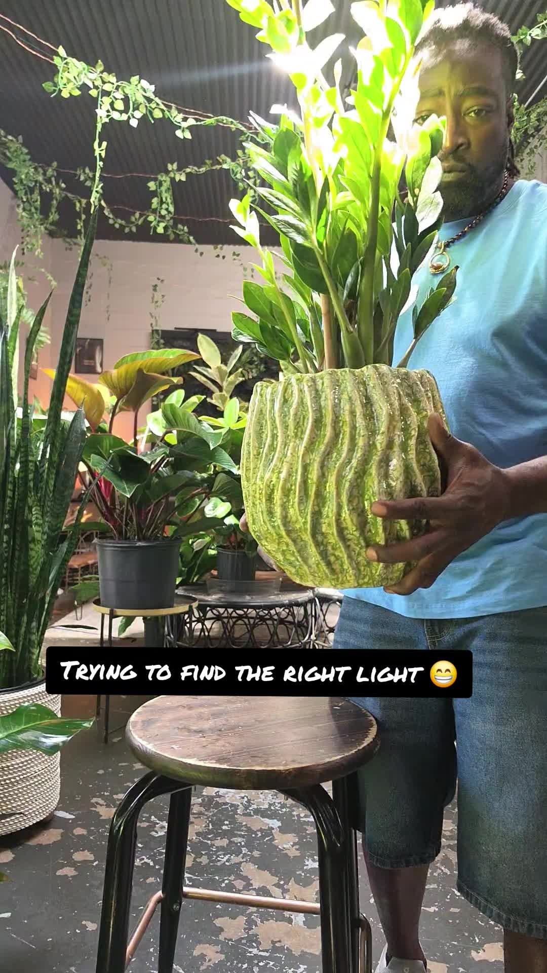 @energygardens