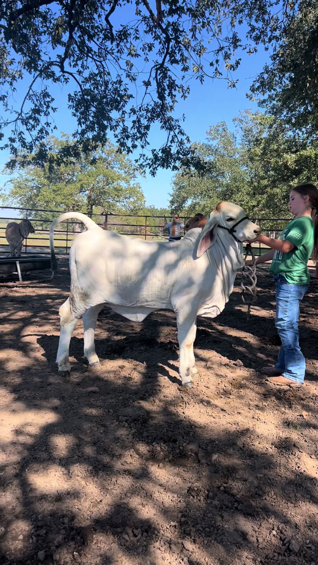 @The V6 Ranch
