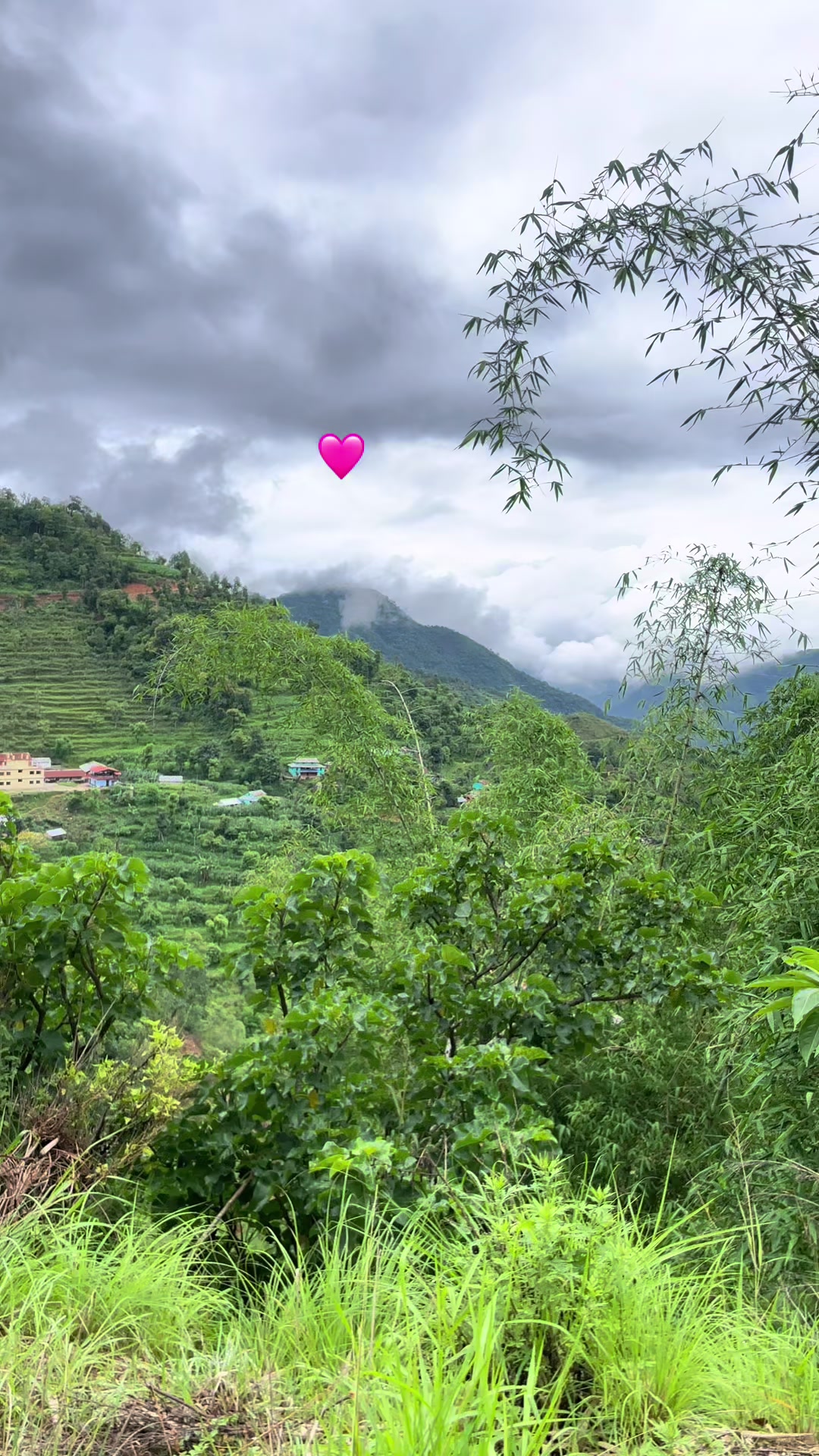 @चने 