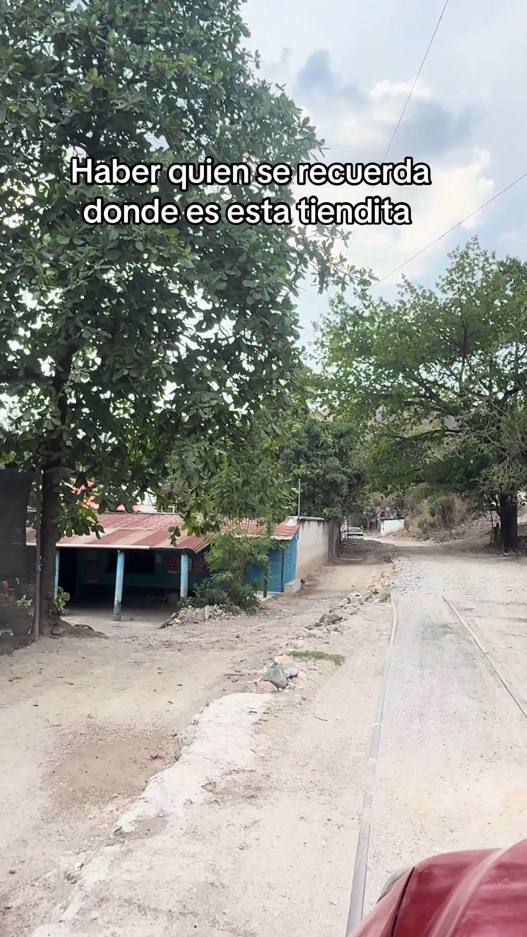 @Axel Estrada 🇬🇹👊🦁