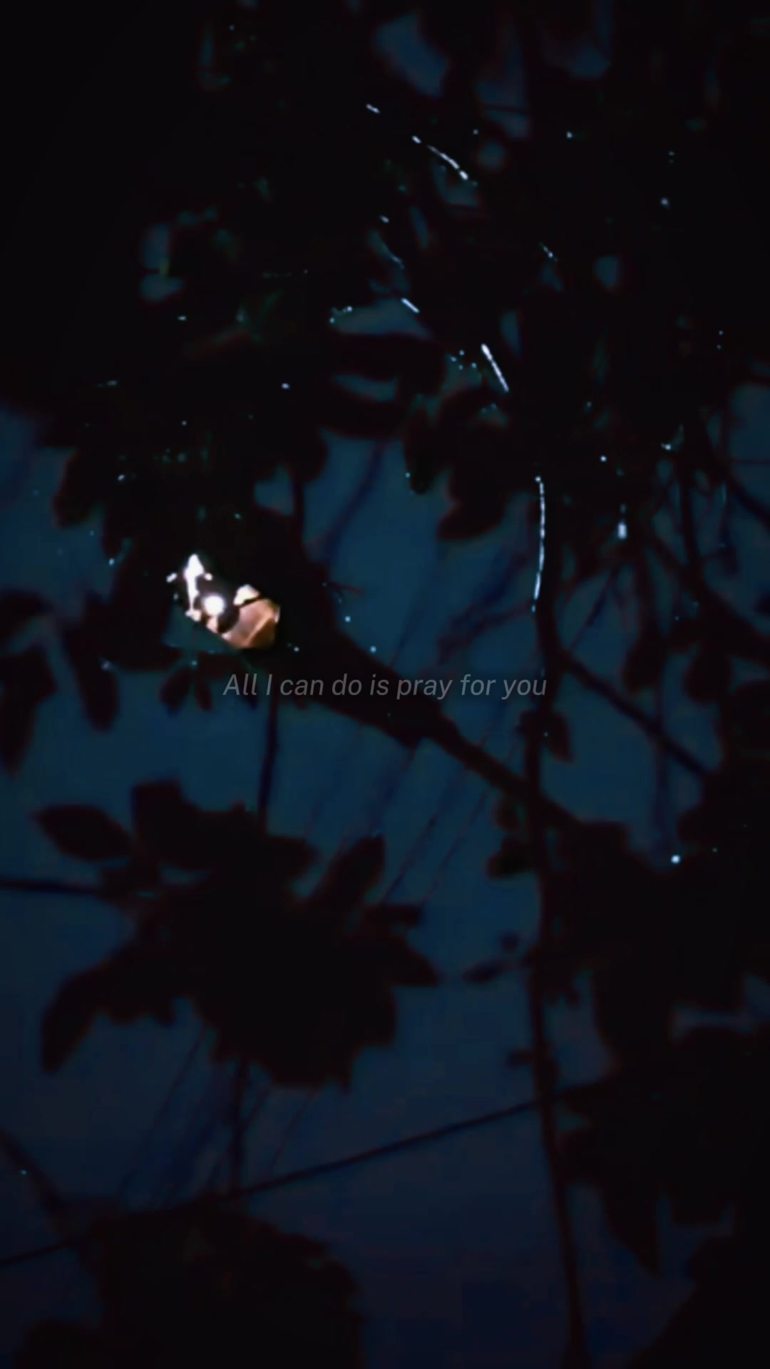 @Jobelynzkie Lyrics