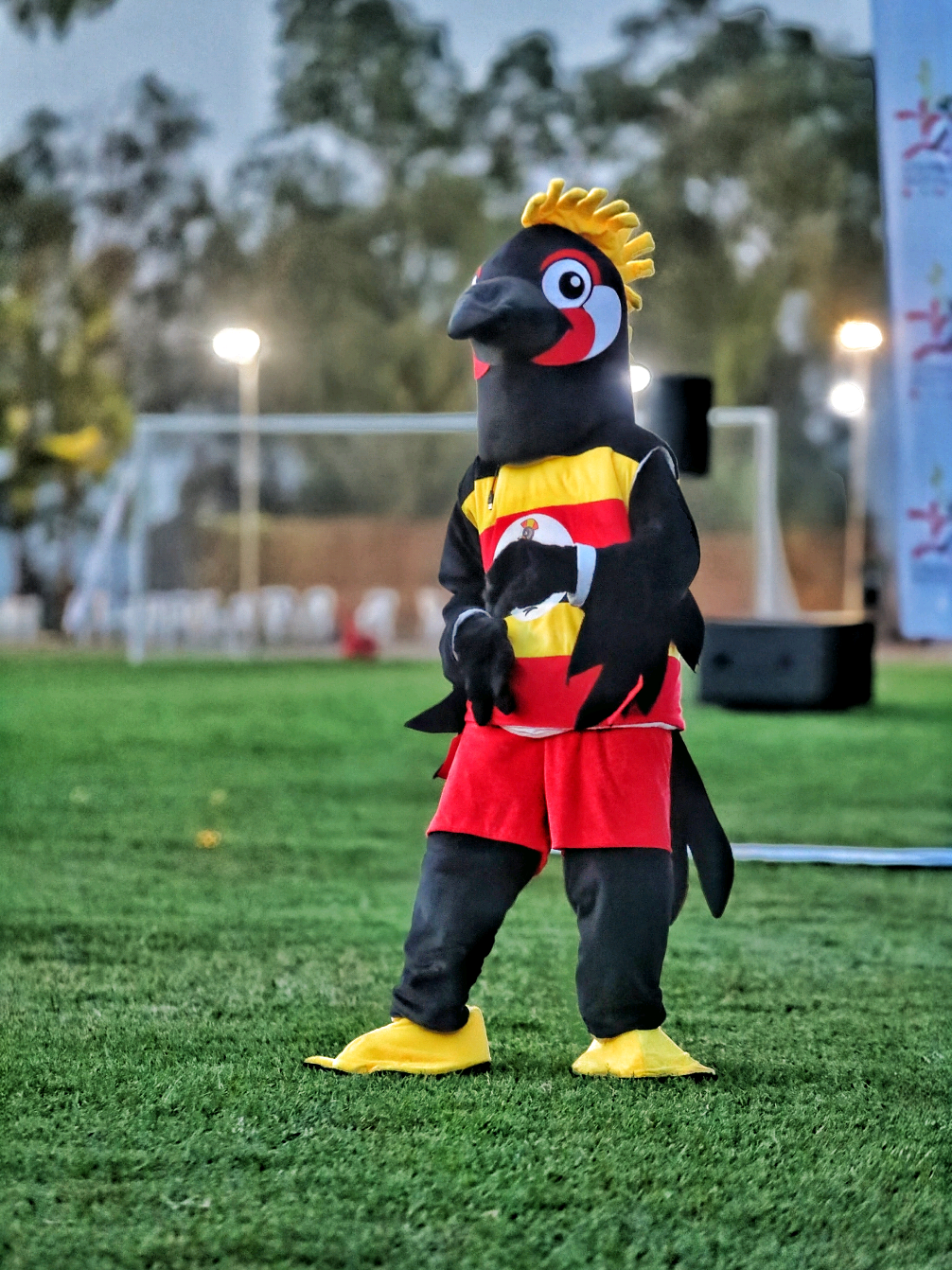 @@VarsitysportsUG