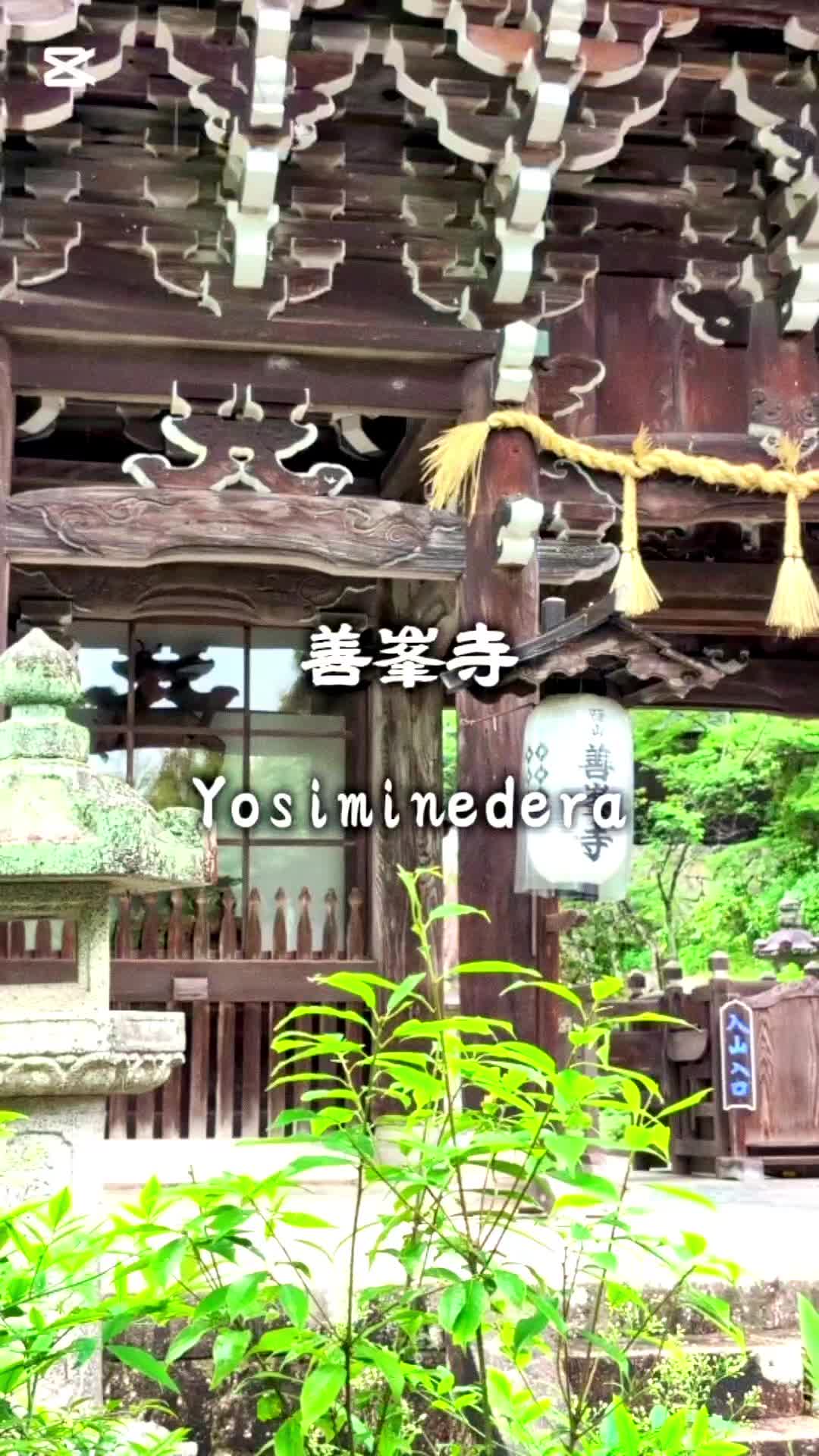 @のりのすけ【京都】