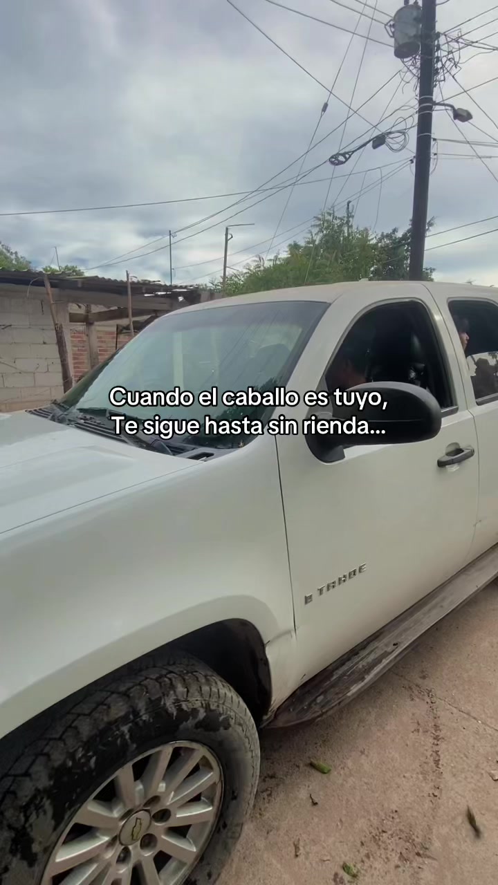@herrera🍒