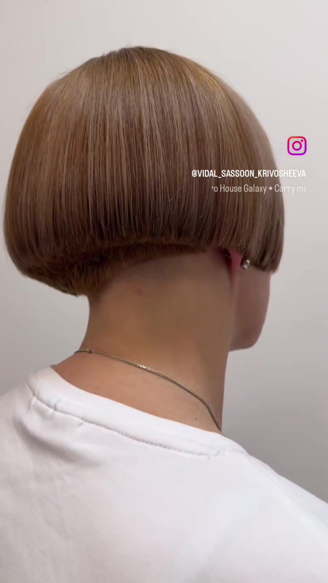 @bobhairlovers