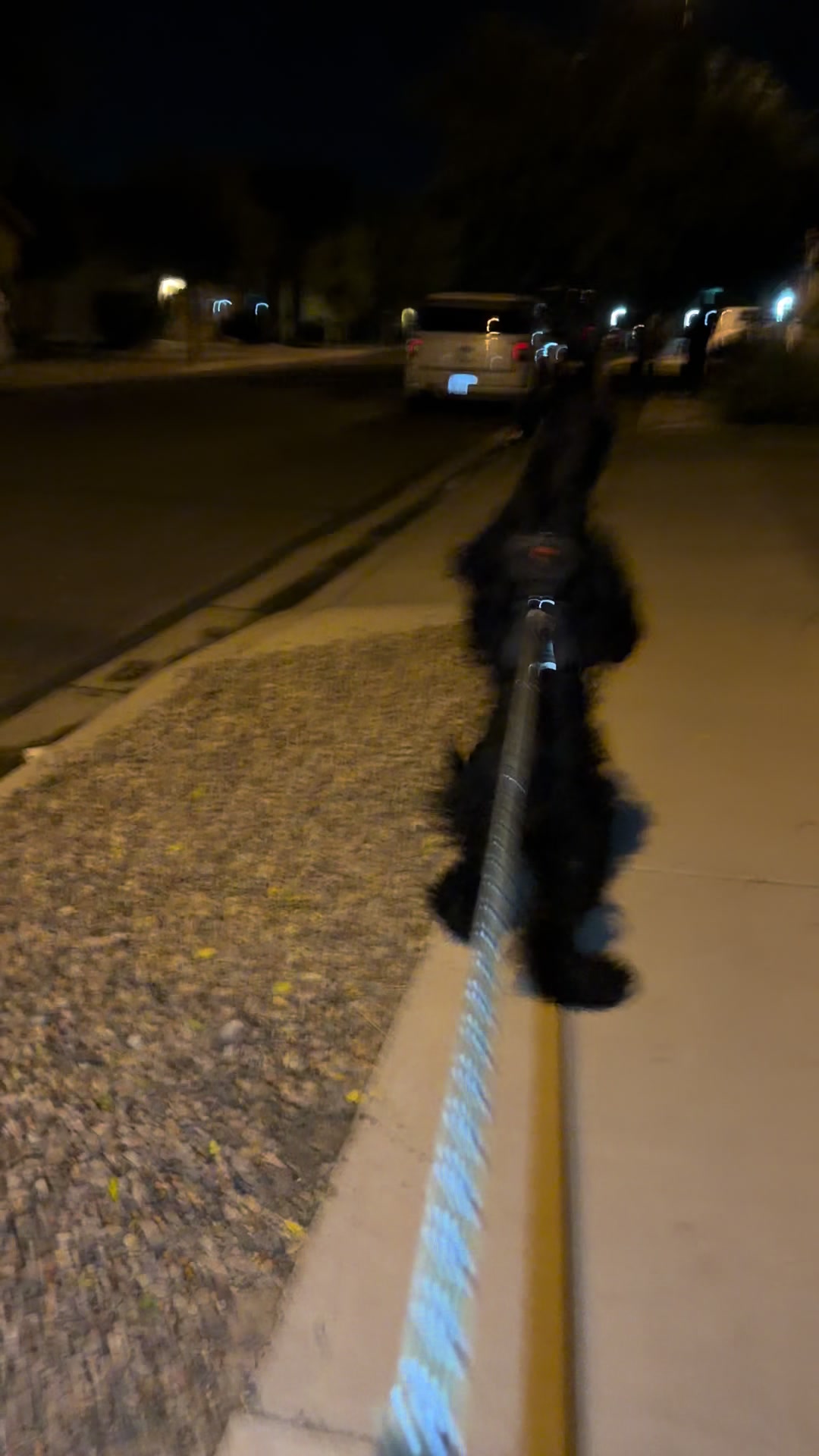 @Fiona Walks