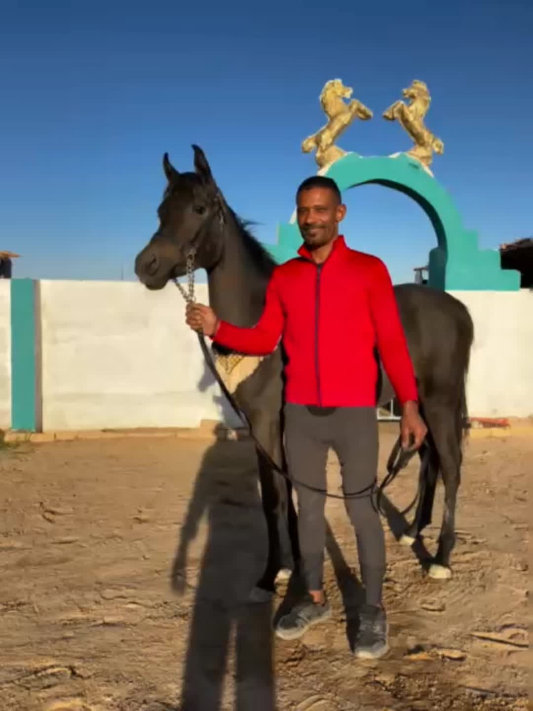 @monalisa_stable