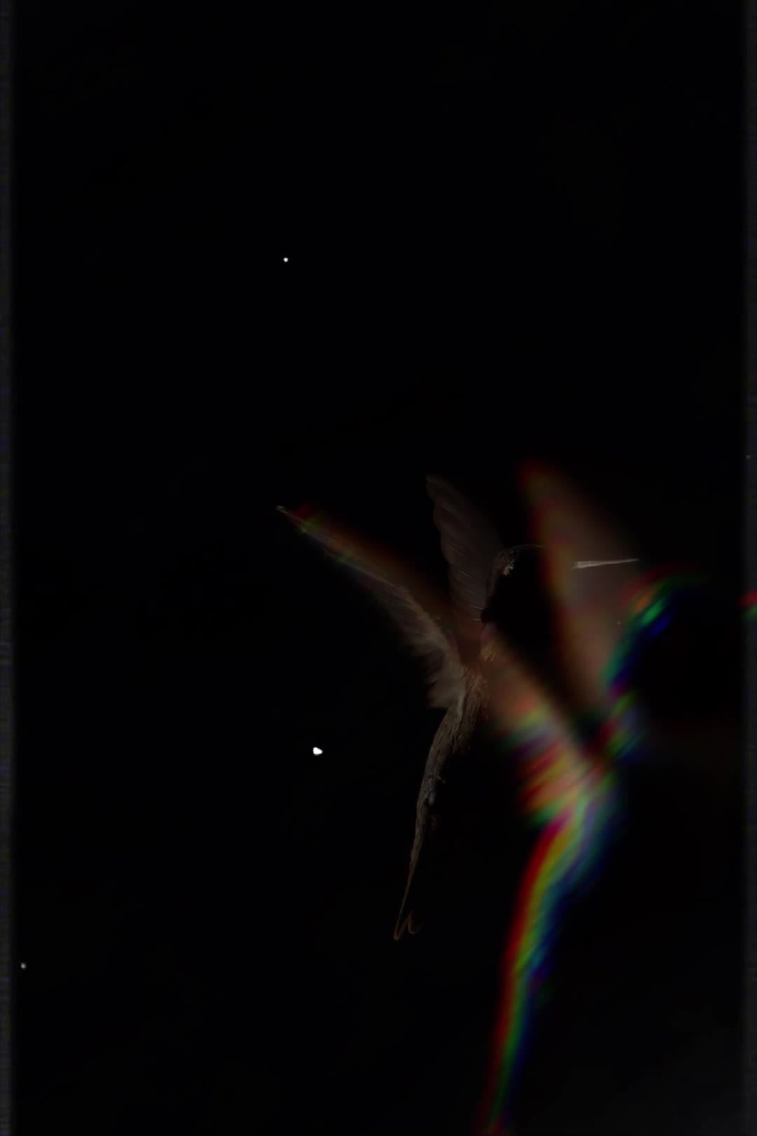 @yaad