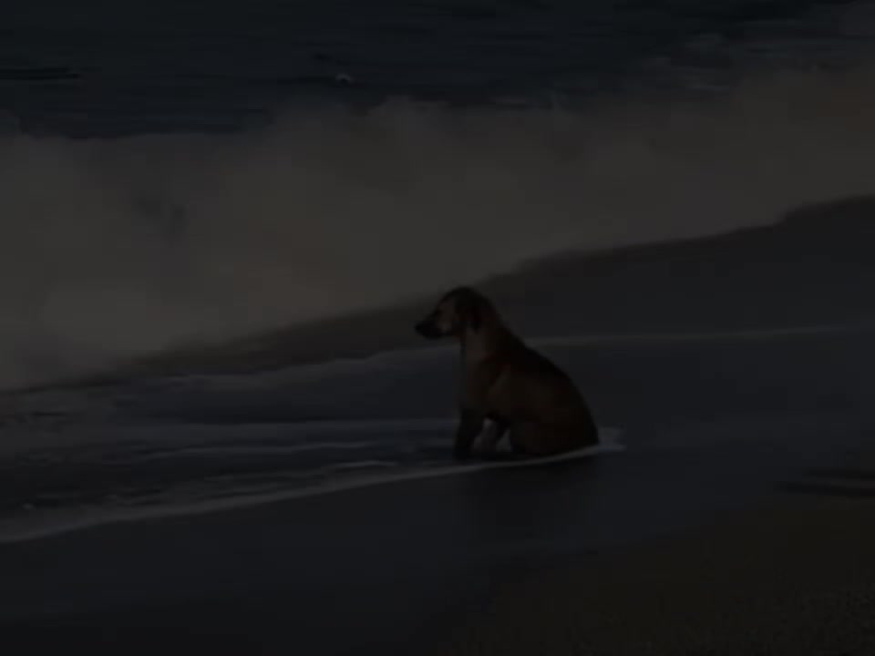 @Edit