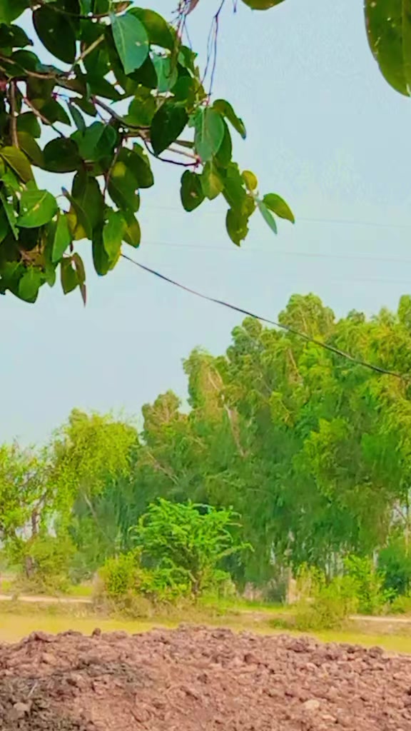 @Rai Toqeer