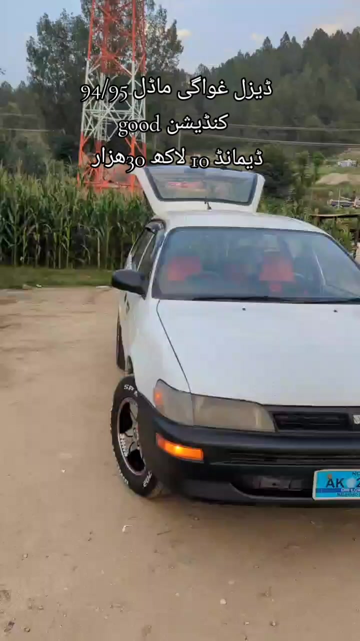 @ncpcarlover1