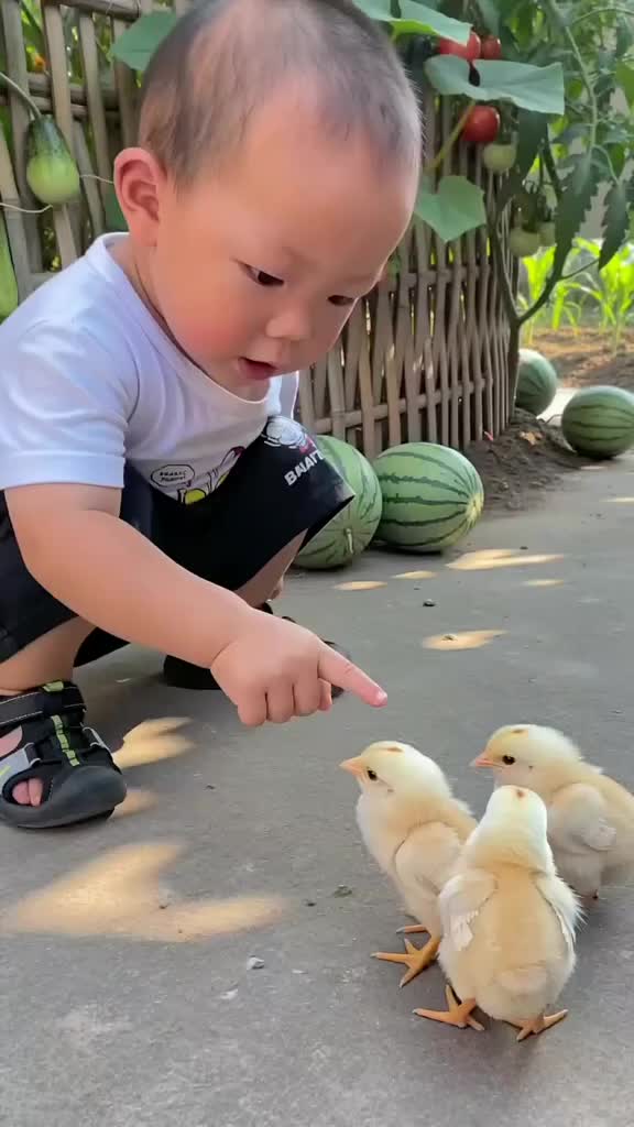 @arulalfan8