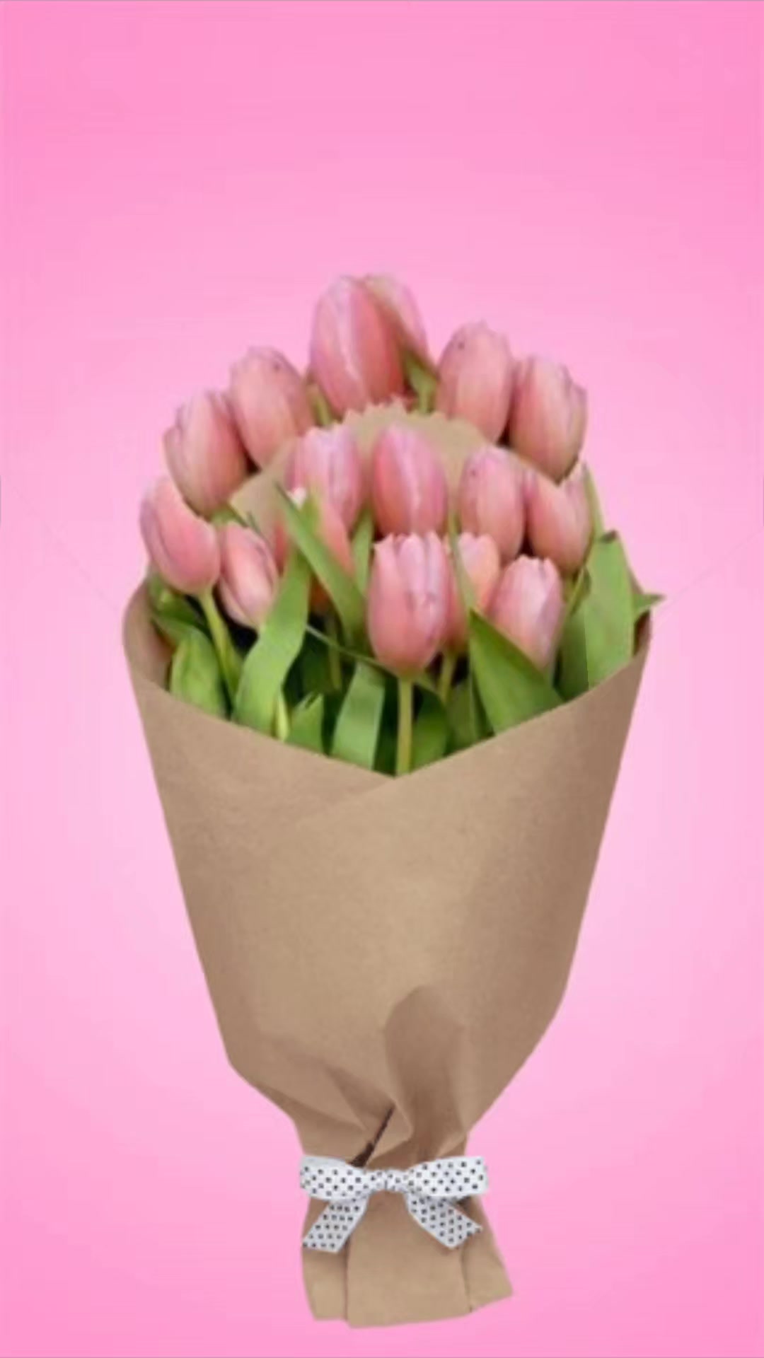 @@Nimzz๐
