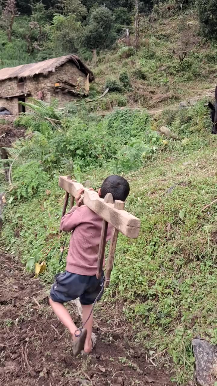 @༺महेश बुढा༻