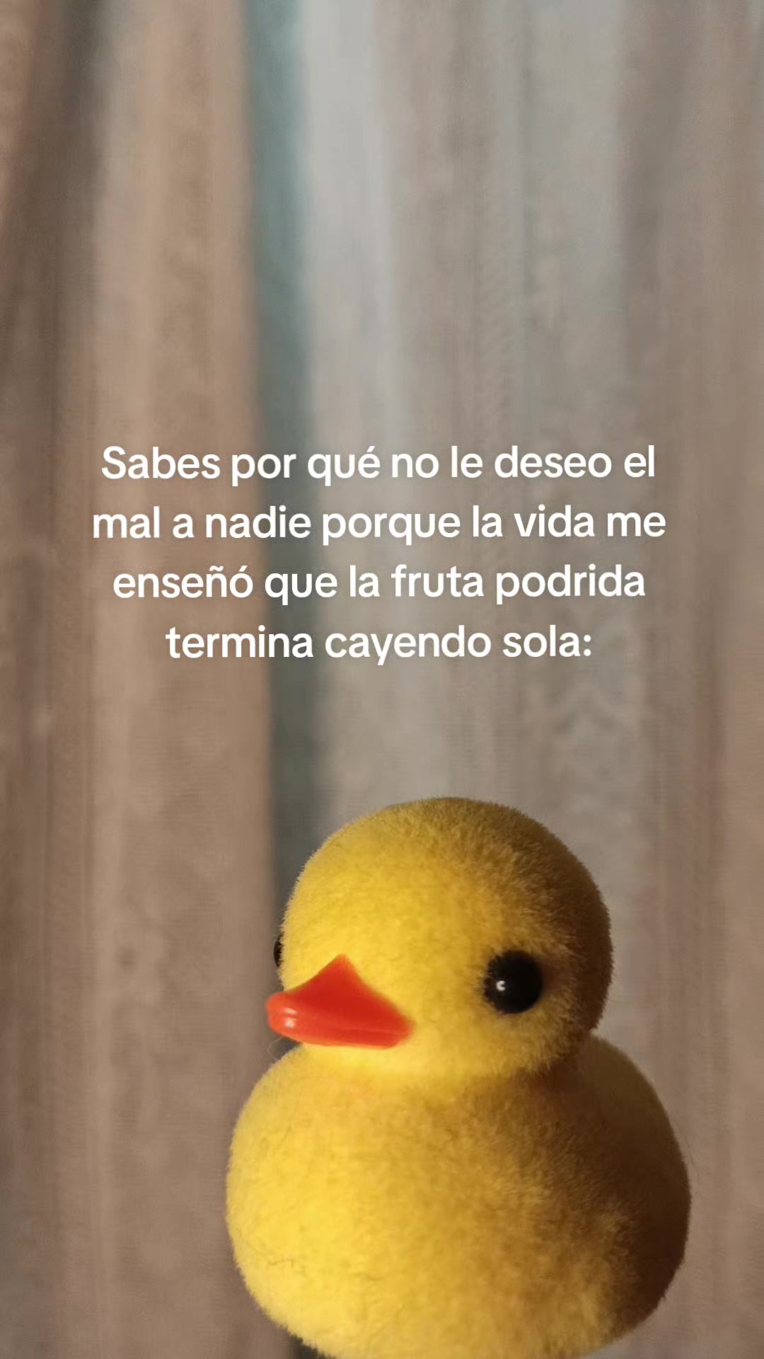 @•El_Trolux•🥑