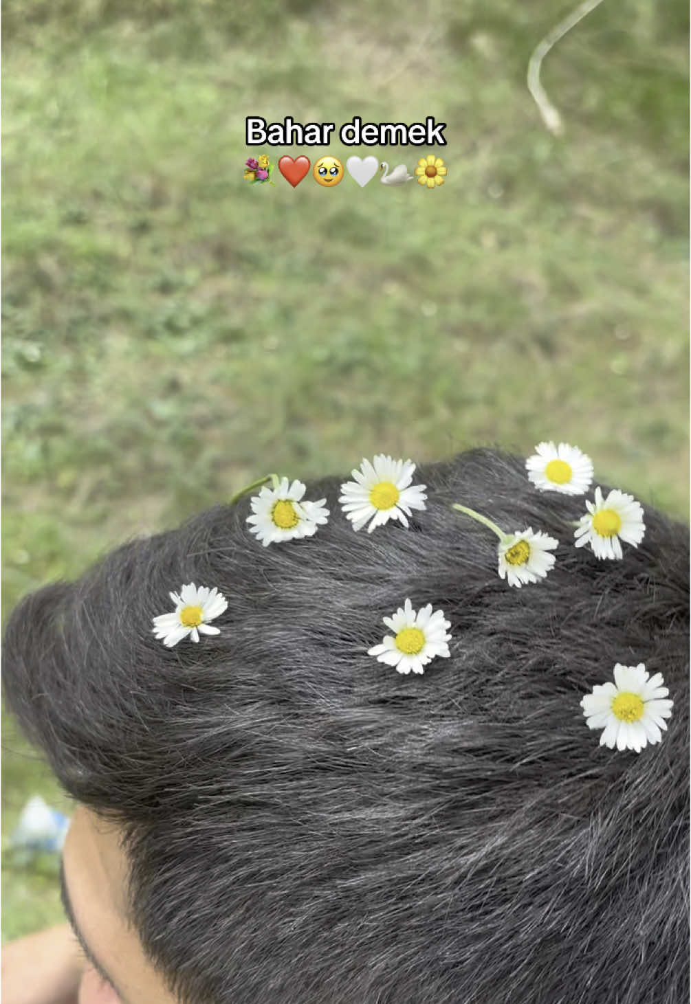 @seraykrberk