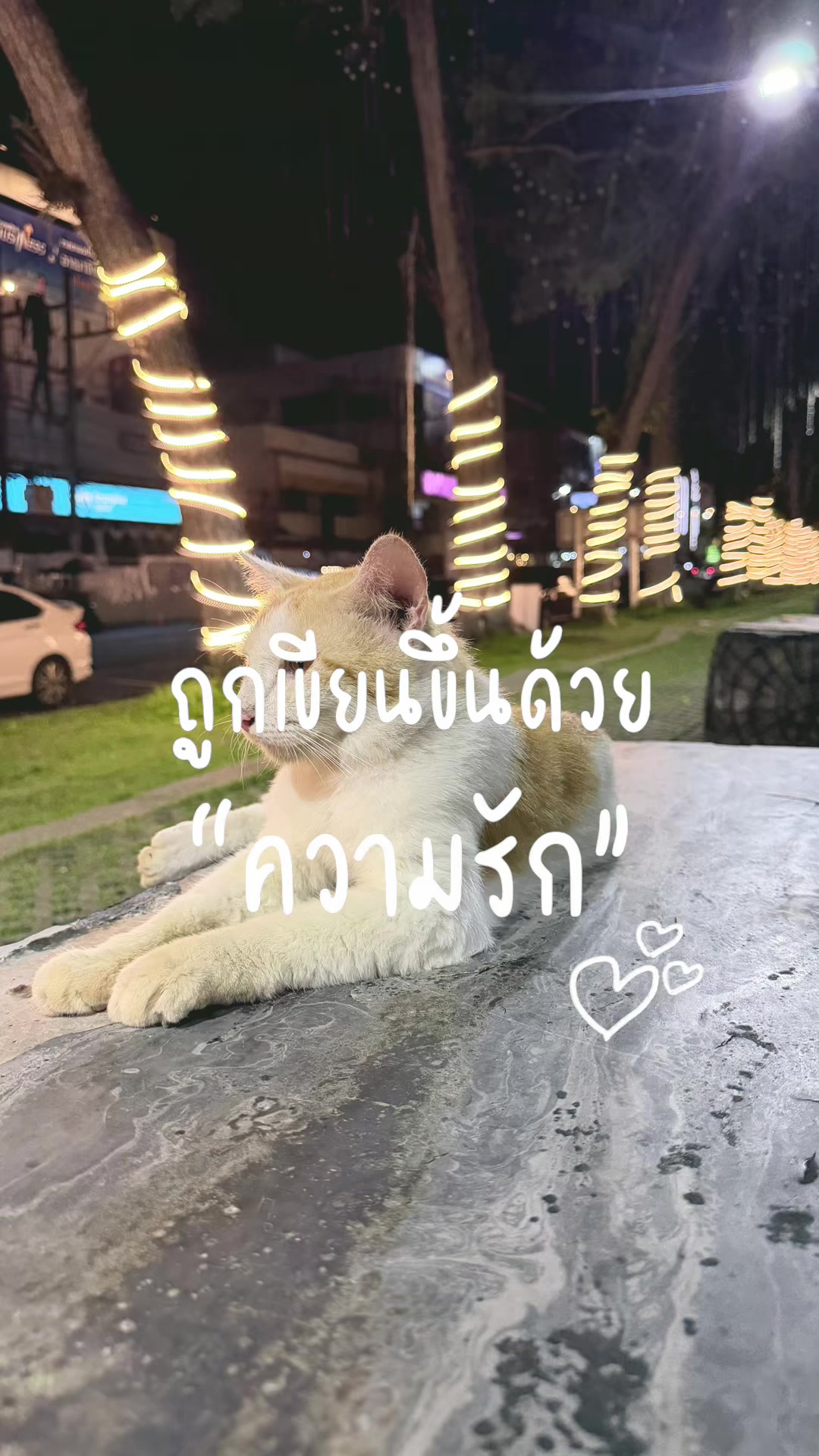@มาเฟียกำแพงแสน