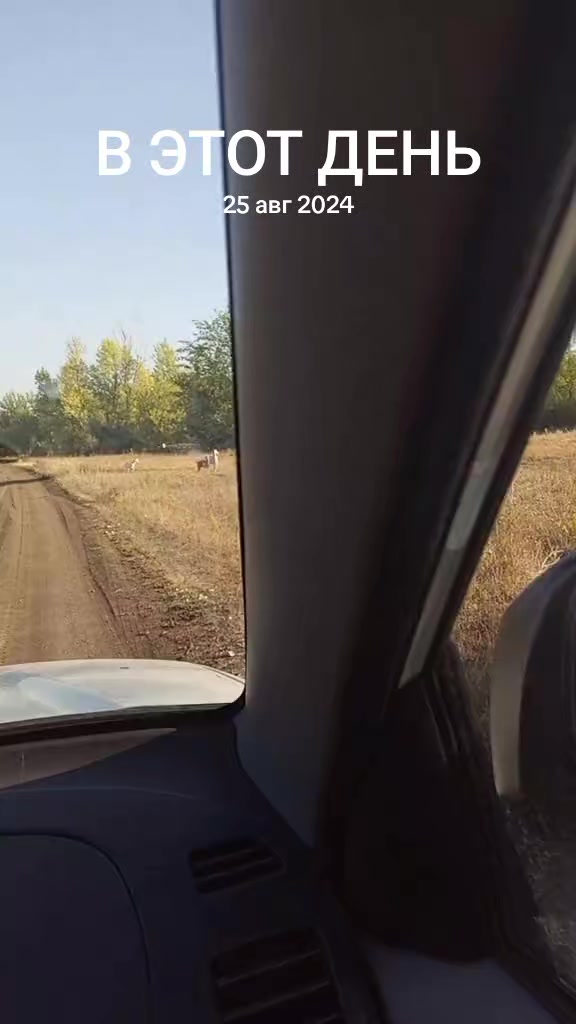 @Елена