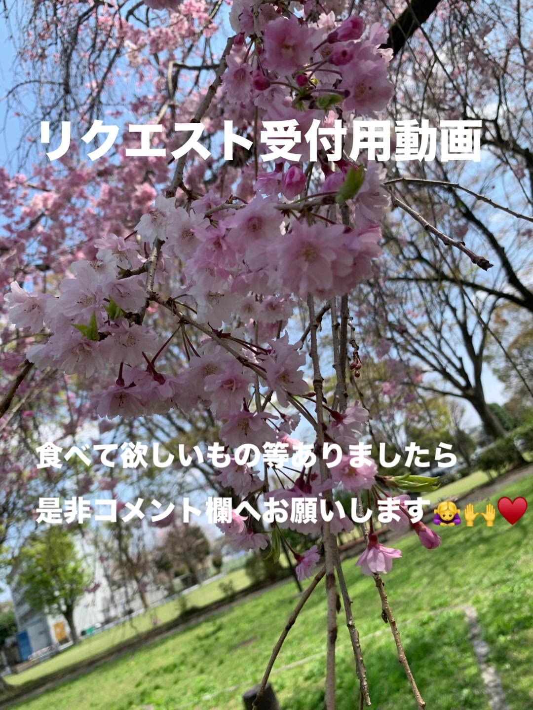 @ただただご飯を食べる人🪷🌸