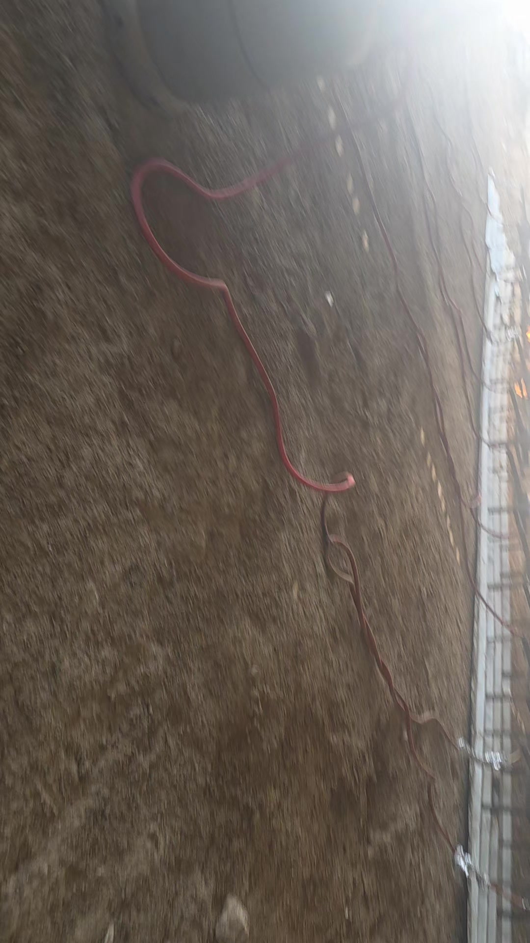 @رامي تبرنه