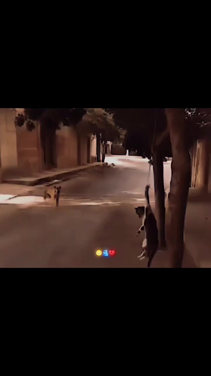 @Aurangraib