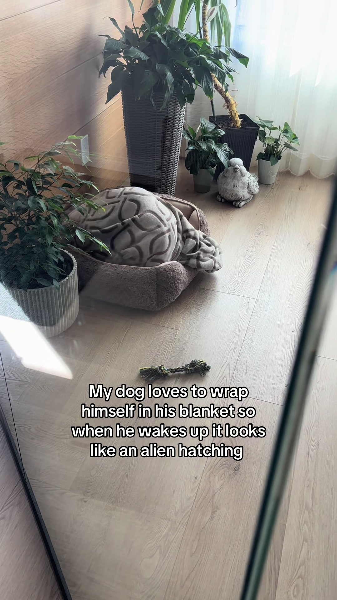 @🪿💨