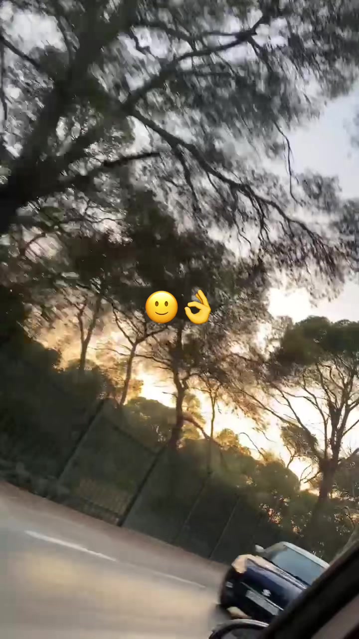 @🦢🔐