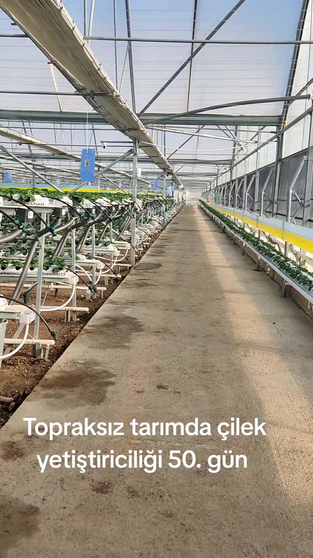 @Kartes Tarım Danışmanlık
