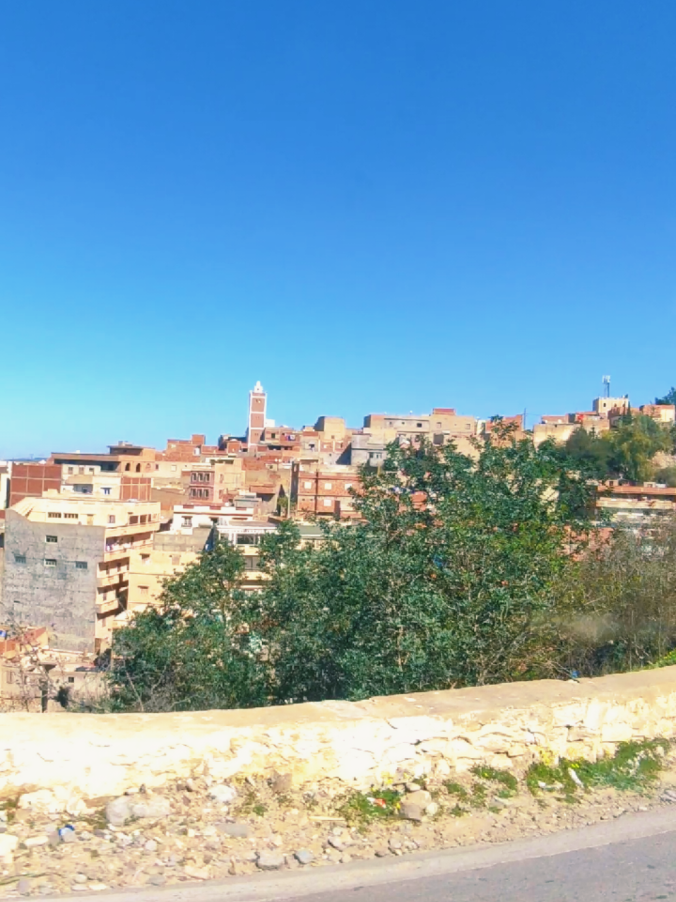 @الفنك الجزائري Algeria