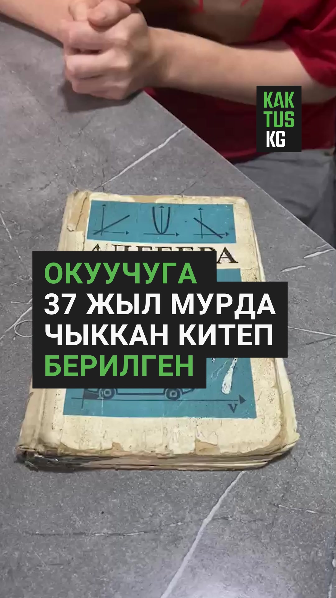 @Kaktus KG
