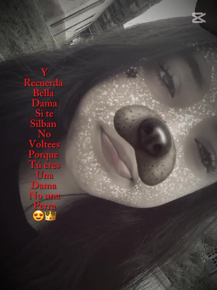 @⋆꙳⸜⸜💓𝒟𝒶𝓇𝒶 💓⸝⸝꙳⋆