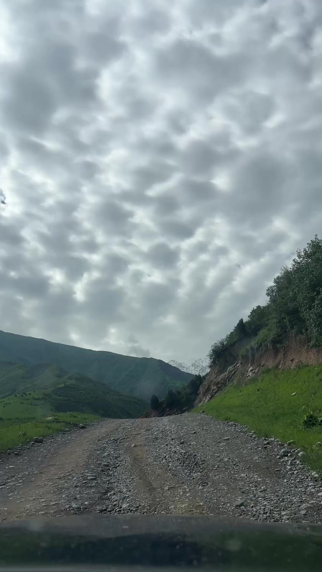 @Toktosunova