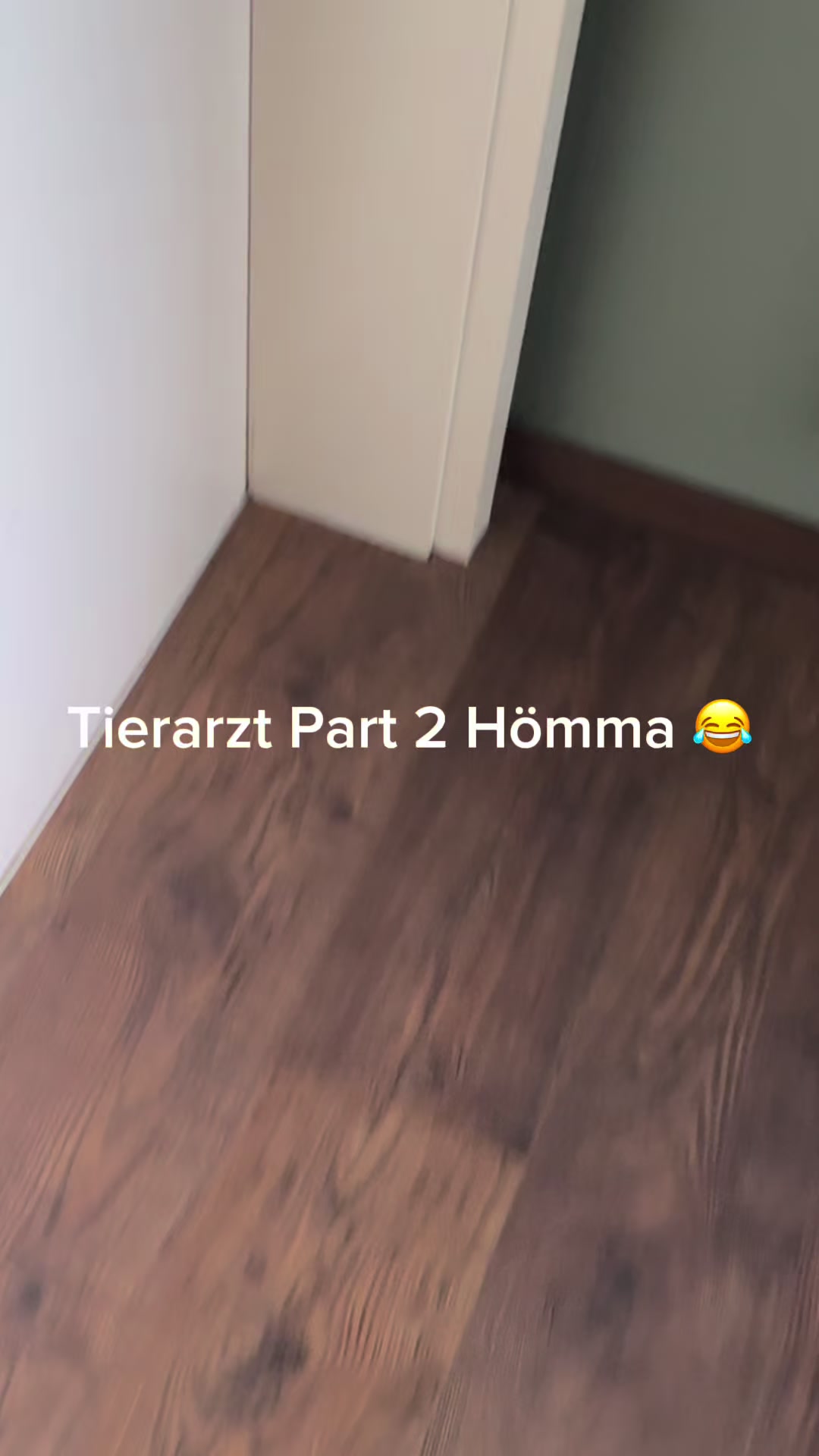 @Kreischhuhn Karma 🦉
