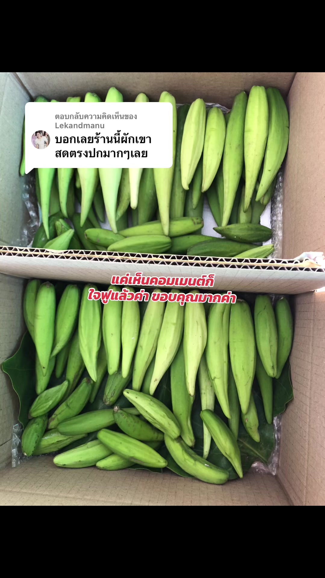 @🌿เจ๊ต่าย ขายผักป่าผักบ้าน🌿