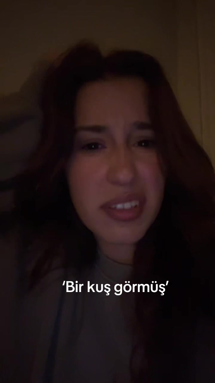 @Ayshe