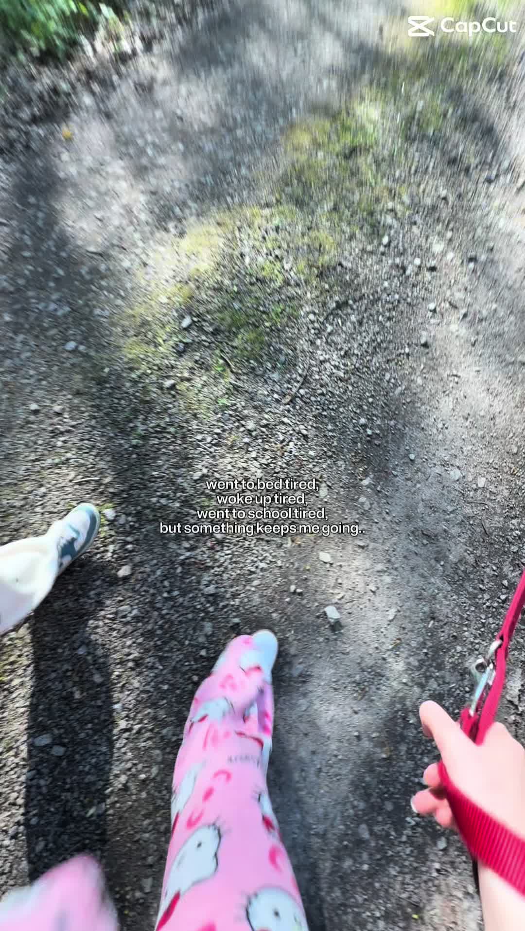 @Zoe.xplr👻