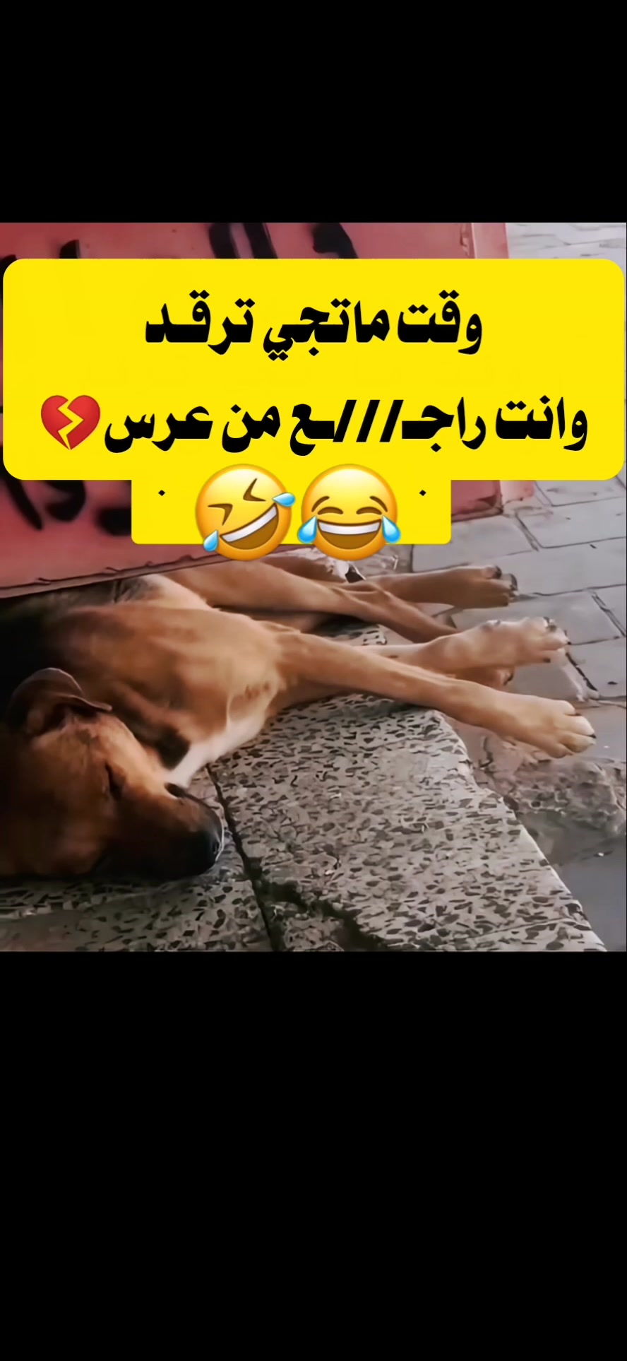 @امـيܔ͢❀͜ـر🍷⃟ـتـ؏ز𓆩𓅗𓆪
