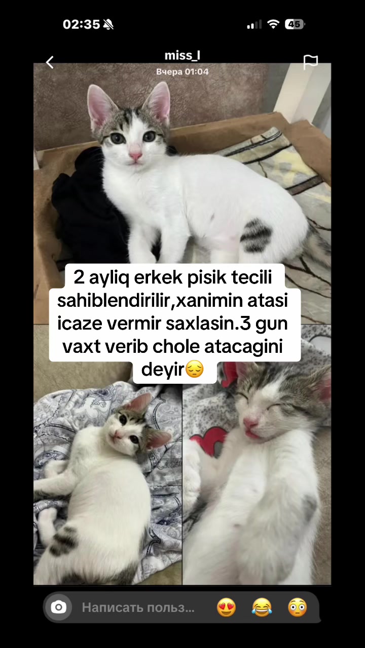 @animals_777